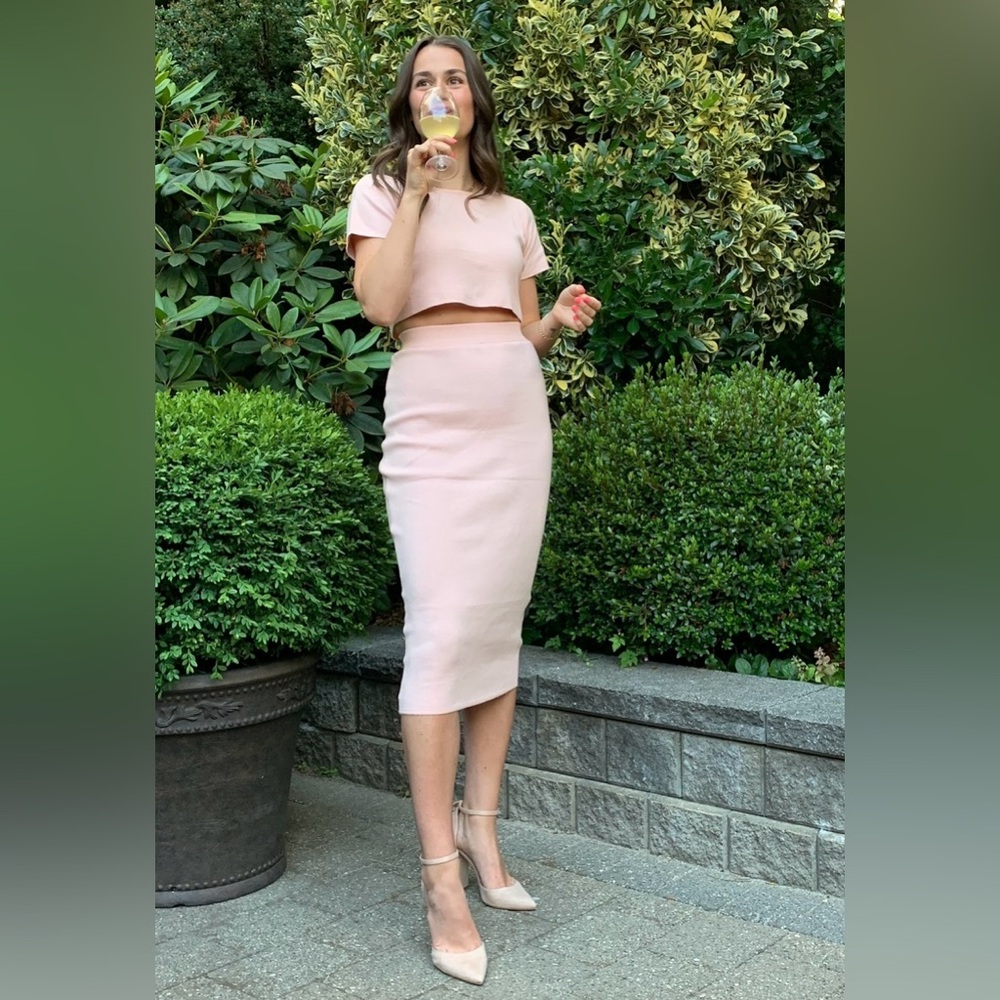 Beginning Boutique Blush Pencil Skirt Set